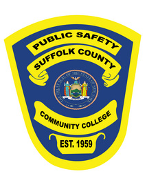 Public Safety Patch